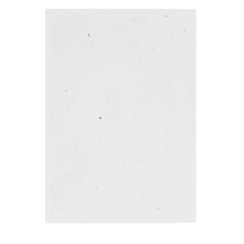 Unbedrucktes Samenpapier DIN A3 | 200 g/m² - Bild 2